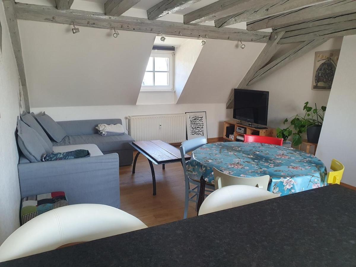 Mon Ptit Nid T3 Duplex Au Coeur De La Krutenau