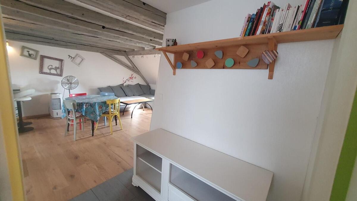 Appartement Mon Ptit Nid T3 Duplex Au Coeur De La Krutenau