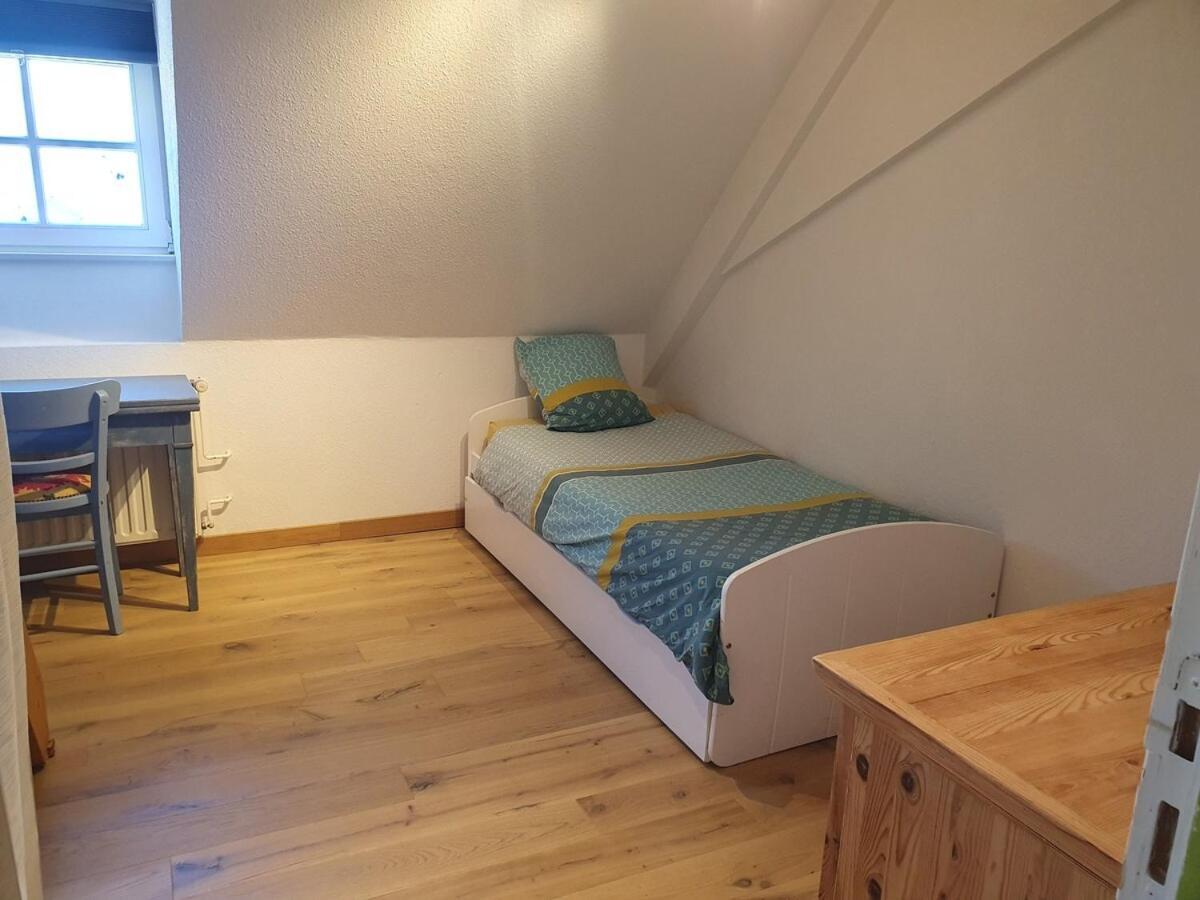 Mon Ptit Nid T3 Duplex Au Coeur De La Krutenau Appartement Strasbourg