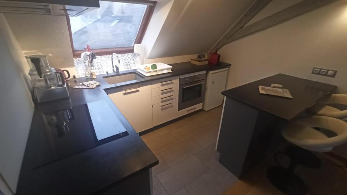 Appartement Mon Ptit Nid T3 Duplex Au Coeur De La Krutenau *