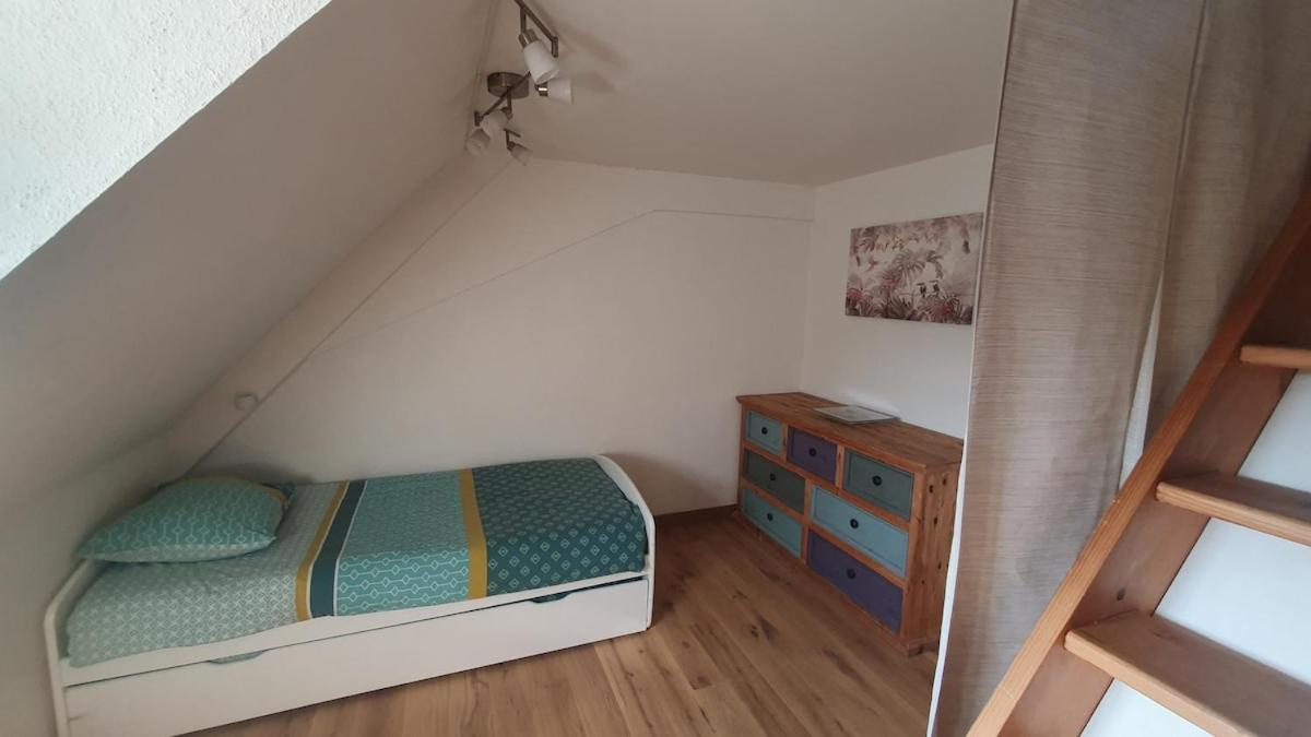 Mon Ptit Nid T3 Duplex Au Coeur De La Krutenau Appartement Strasbourg