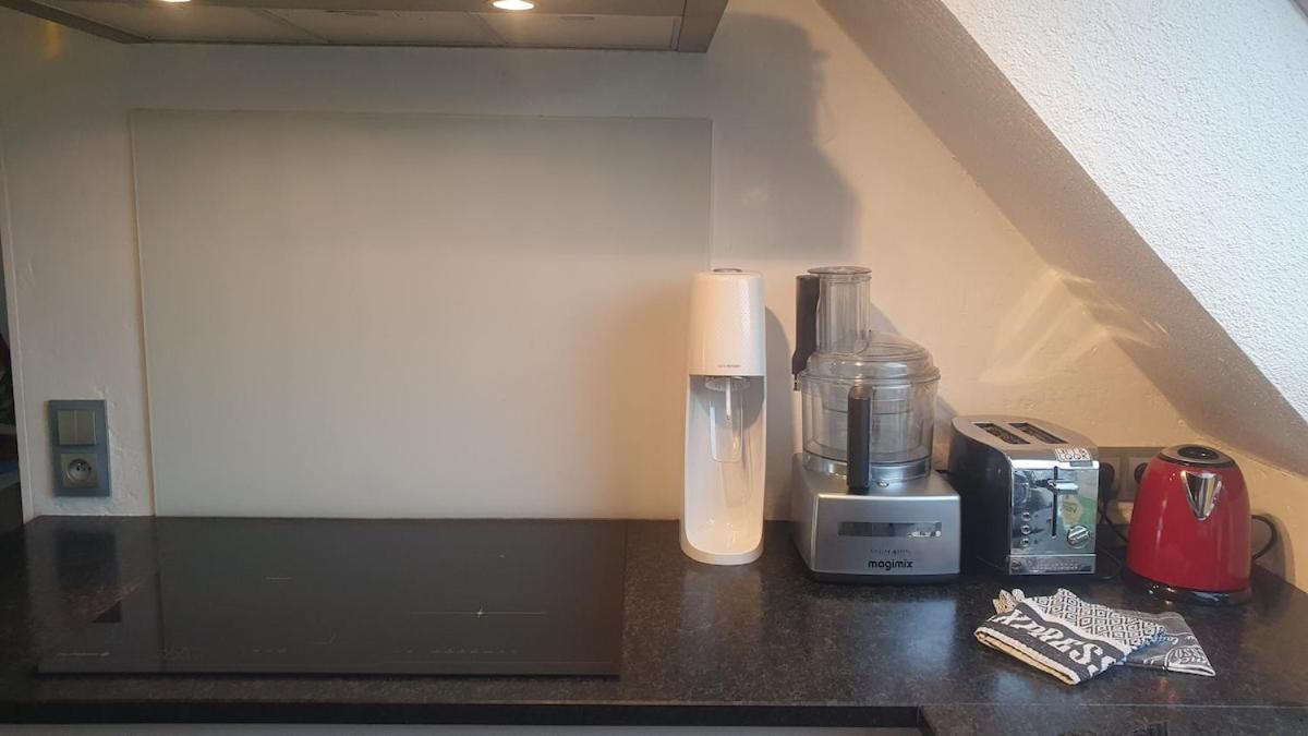 Appartement Mon Ptit Nid T3 Duplex Au Coeur De La Krutenau Strasbourg