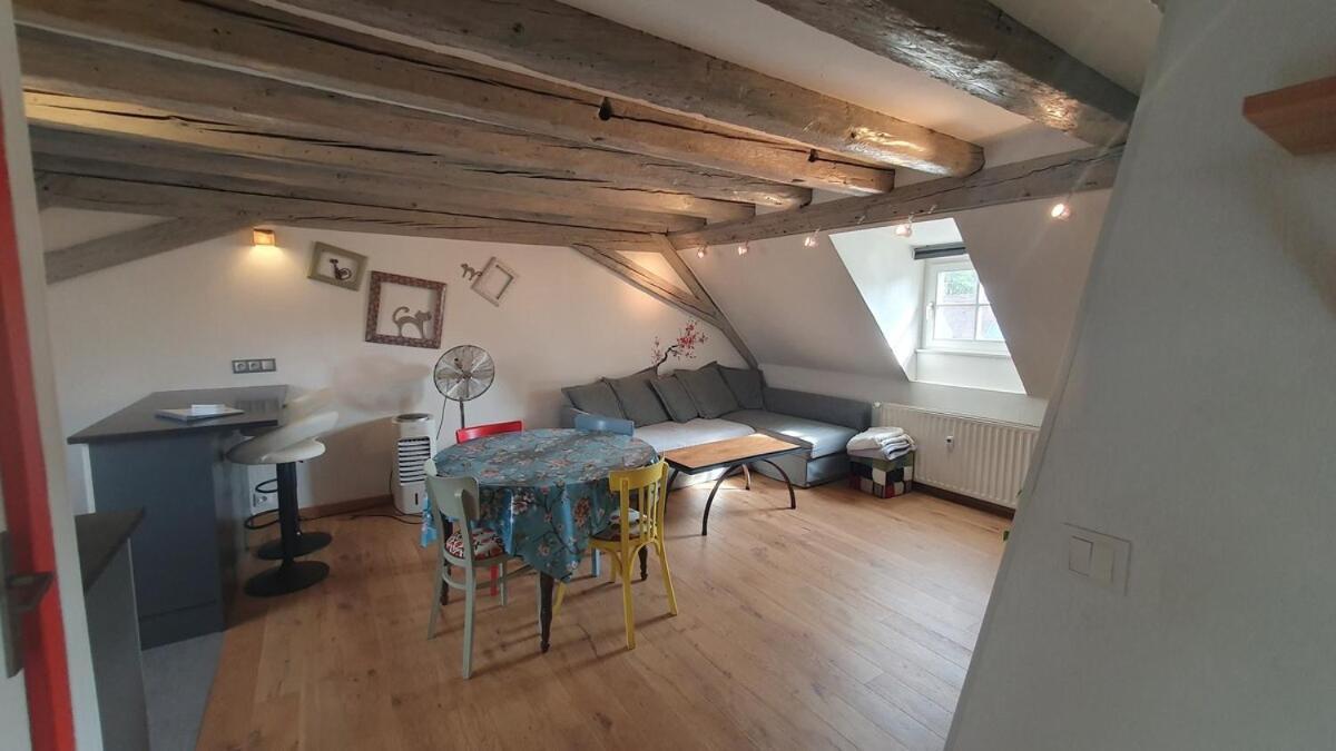 Mon Ptit Nid T3 Duplex Au Coeur De La Krutenau *