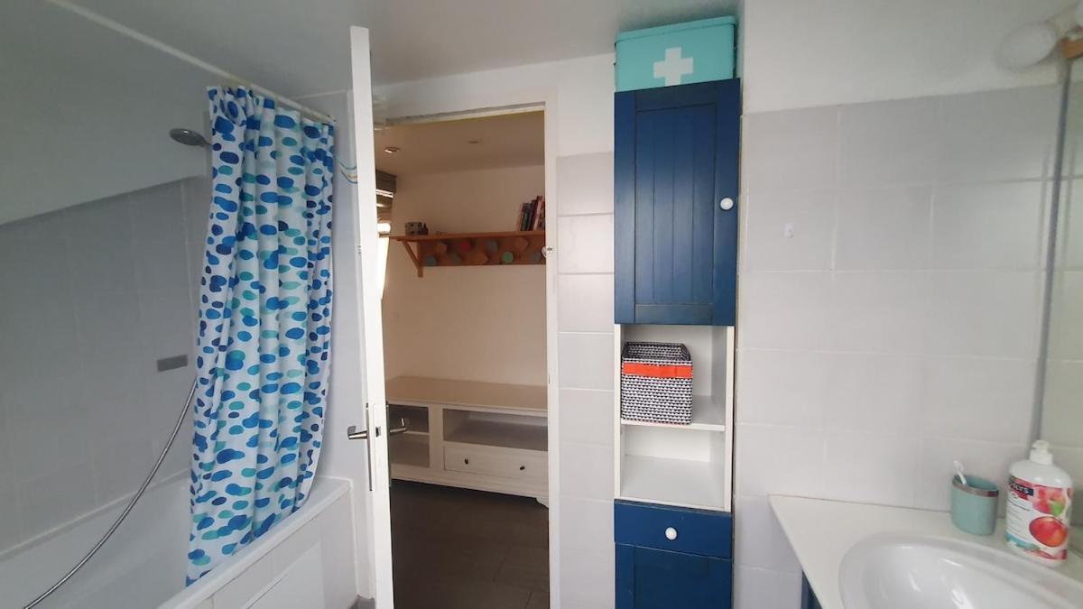Mon Ptit Nid T3 Duplex Au Coeur De La Krutenau Appartement