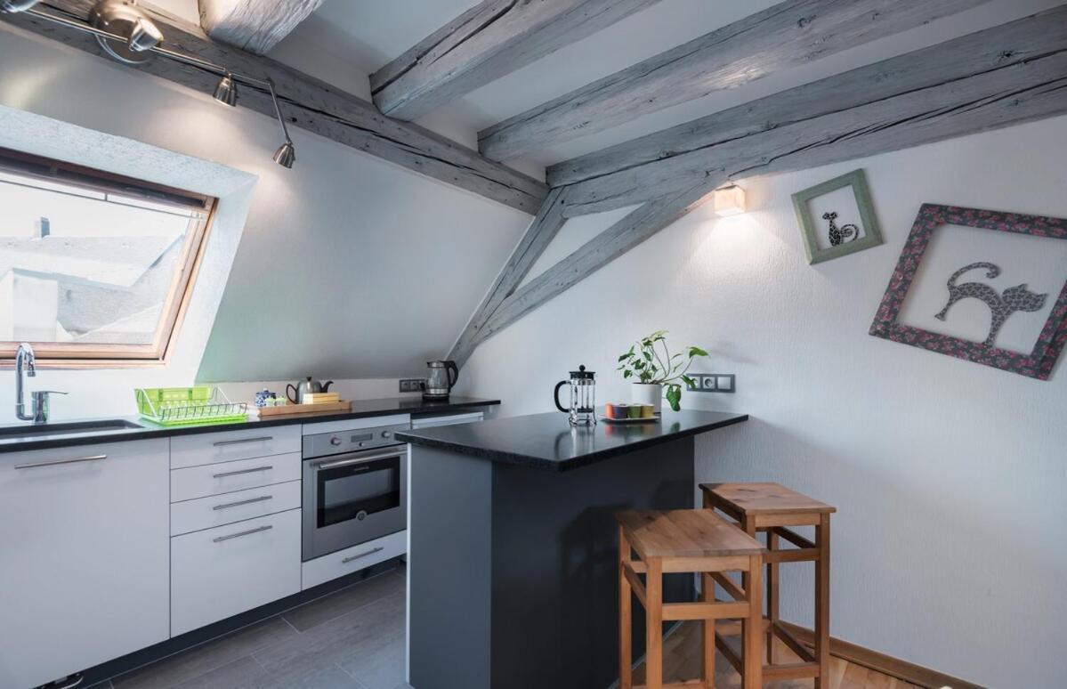 Appartement Mon Ptit Nid T3 Duplex Au Coeur De La Krutenau *
