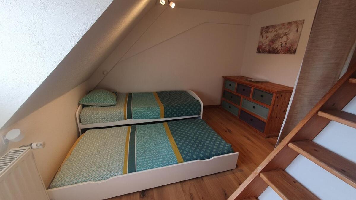 Mon Ptit Nid T3 Duplex Au Coeur De La Krutenau Appartement *