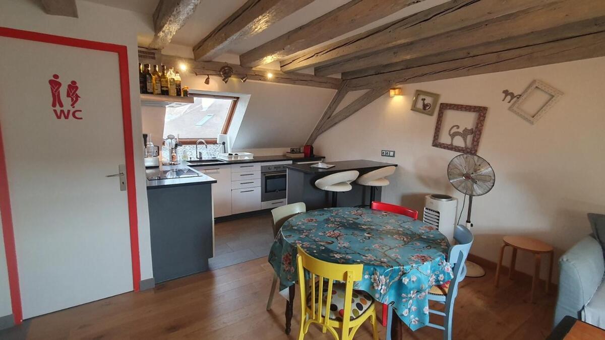Mon Ptit Nid T3 Duplex Au Coeur De La Krutenau * Strasbourg