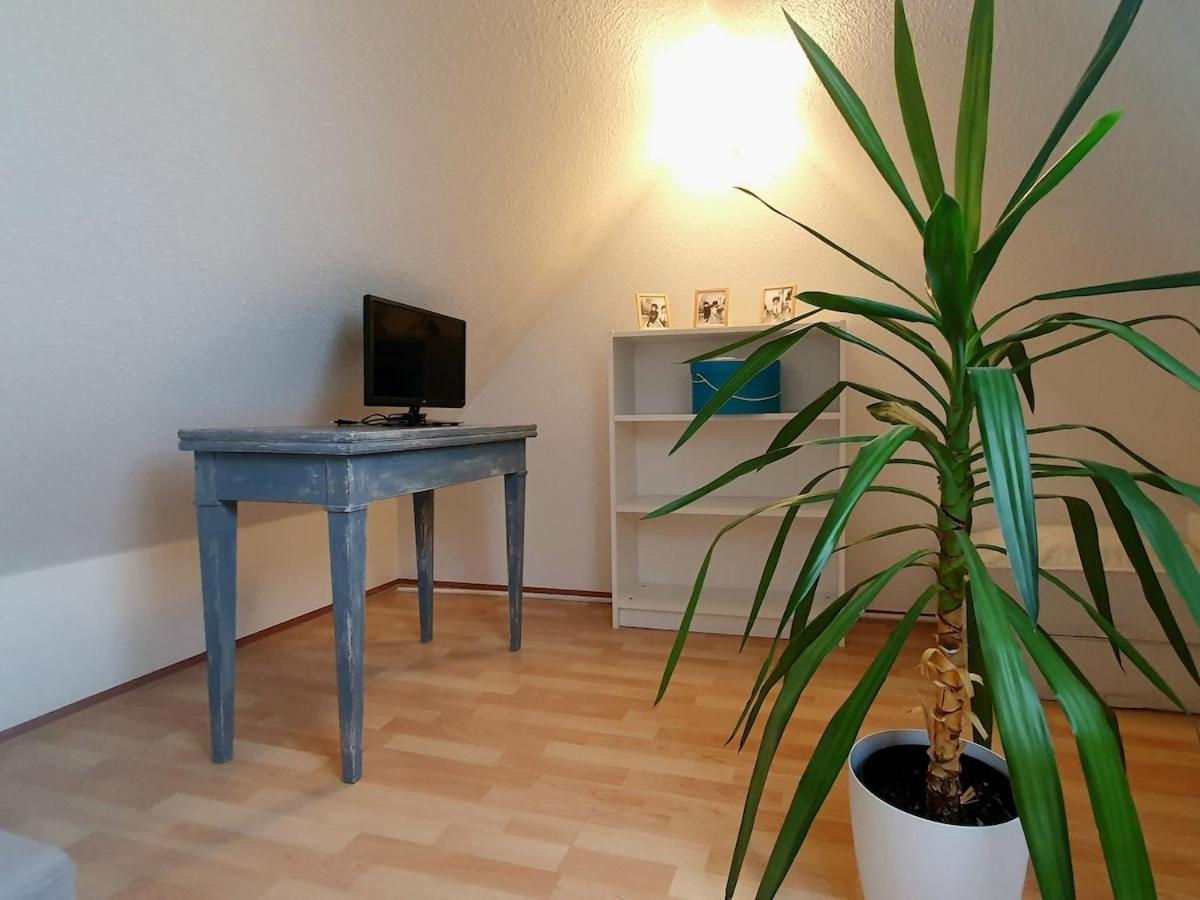 Mon Ptit Nid T3 Duplex Au Coeur De La Krutenau