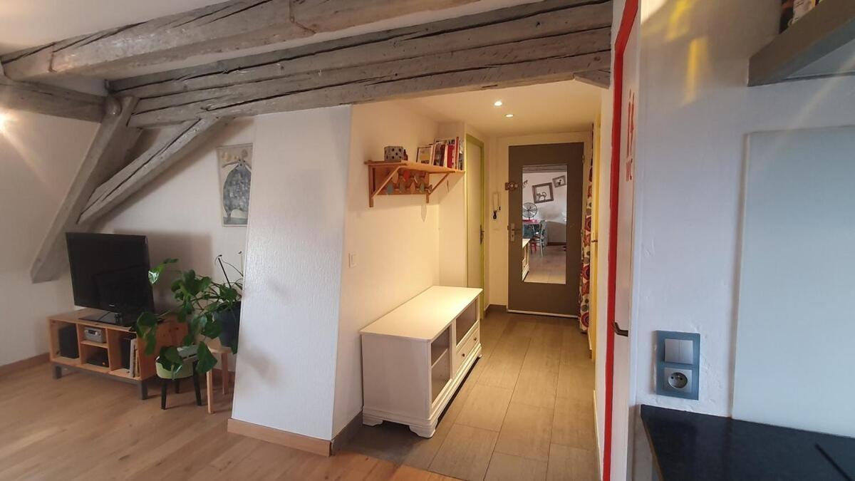 Mon Ptit Nid T3 Duplex Au Coeur De La Krutenau Appartement