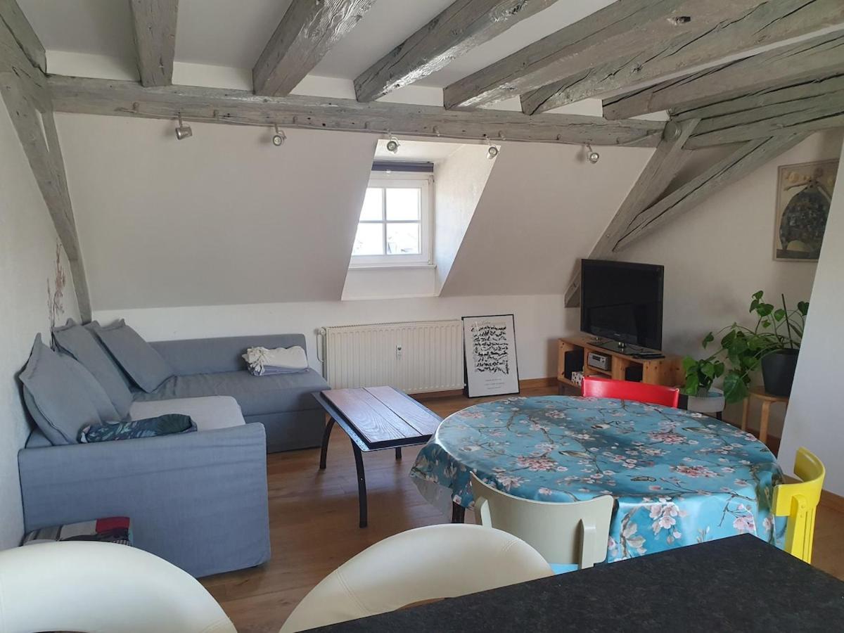 Mon Ptit Nid T3 Duplex Au Coeur De La Krutenau *